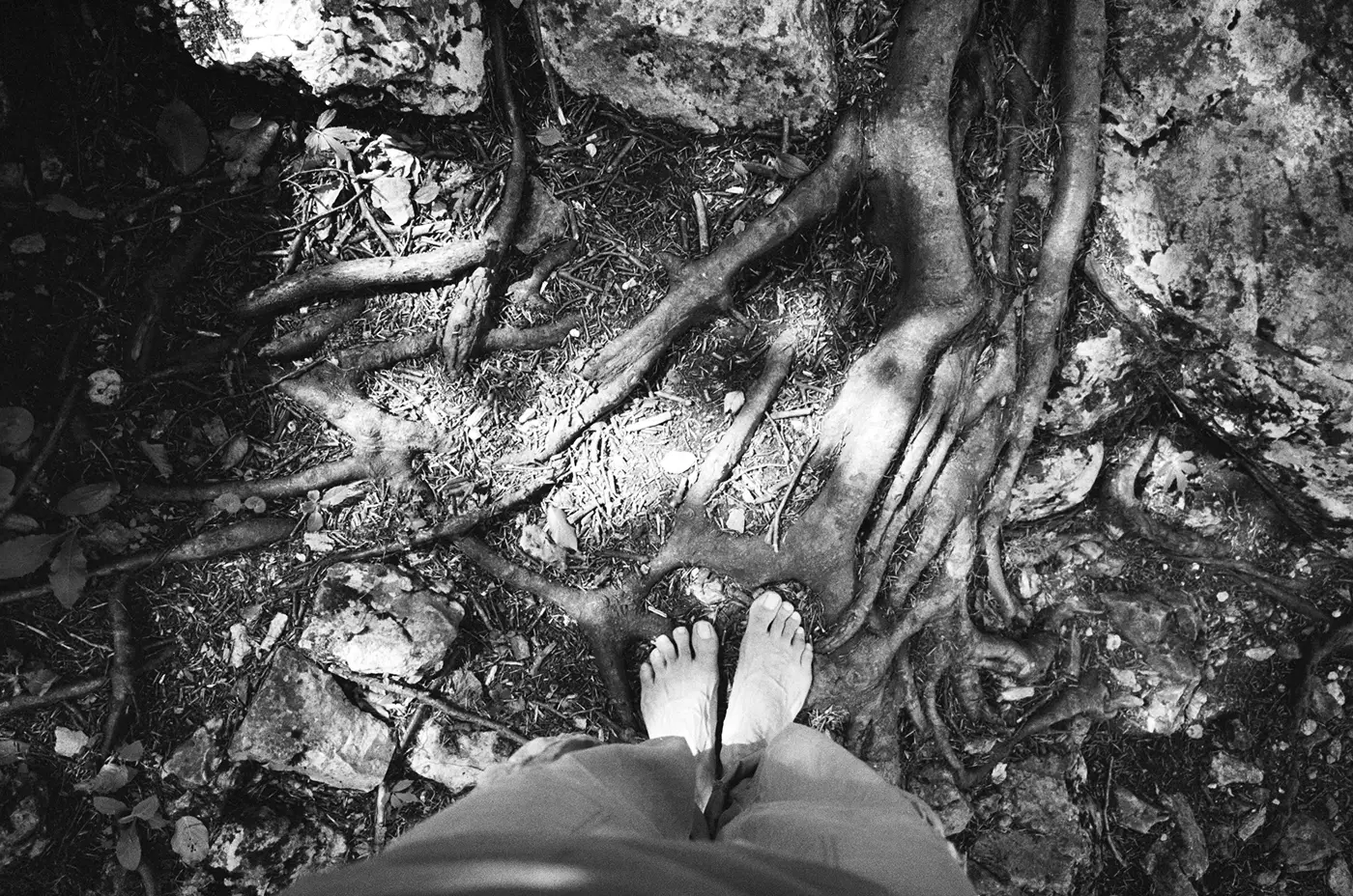 Close-up of bare feet on forest ground, with visible skin veins resemble the patterns of tree roots, surrounded by rocks and fallen leaves.